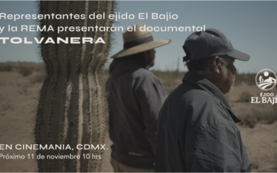 Proyección de Tolvanera en CDMX y anuncio del ejido El Bajío como área natural protegida.